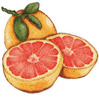 Pomelos-06.gif