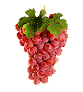 Uvas-04.gif