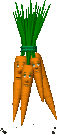 Zanahorias-06.gif