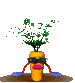 Zanahorias-10.gif