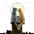 Animales-Enamorados-44.gif