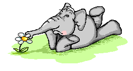 Animales-Enamorados-48.gif