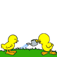 Animales-Enamorados-59.gif