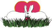 Animales-Enamorados-80.gif