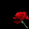 Avatar-de-Amor-220.gif