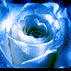 Avatar-de-Amor-291.gif