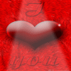Avatar-de-Amor-330.gif