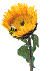 Abejas-17.gif