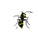 Abejas-33.gif