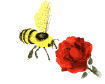 Abejas-40.gif