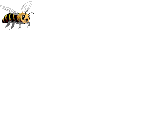 Abejas-48.gif