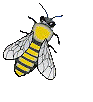 Abejas-53.gif