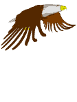 Aguilas-07.gif