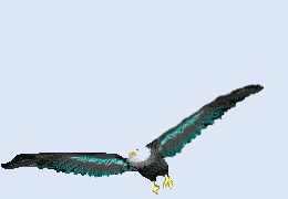 Aguilas-27.gif
