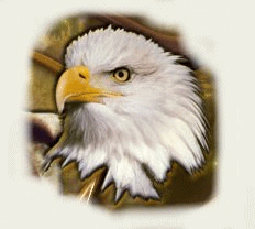Aguilas-28.gif