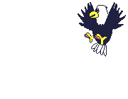 Aguilas-33.gif