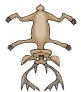 Alces-05.gif