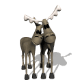 Alces-26.gif