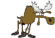 Alces-28.gif