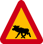 Alces-29.gif