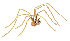 Aracnidos-46.gif