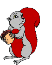 Ardillas-18.gif