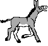 Asnos-y-Burros-03.gif