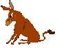 Asnos-y-Burros-04.gif