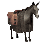 Asnos-y-Burros-10.gif