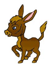 Asnos-y-Burros-20.gif