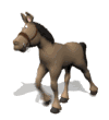 Asnos-y-Burros-21.gif