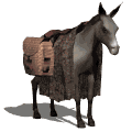 Asnos-y-Burros-22.gif