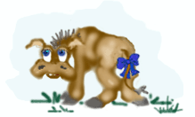 Asnos-y-Burros-27.gif