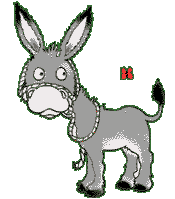 Asnos-y-Burros-30.gif
