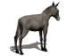 Asnos-y-Burros-37.gif