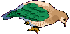 Aves-07.gif