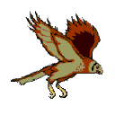 Aves-104.gif