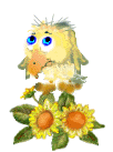 Aves-108.gif