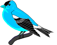 Aves-55.gif