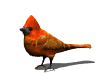 Aves-61.gif