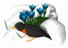 Aves-63.gif