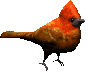 Aves-65.gif