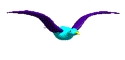 Aves-66.gif