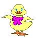 Aves-69.gif