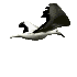 Aves-70.gif