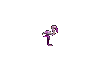 Aves-86.gif