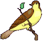 Aves-90.gif