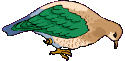 Aves-92.gif