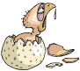 Aves-93.gif