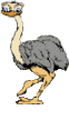 Avestruces-01.gif